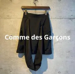 tricot Comme des Garçons デザイン　キュプラ　スカートのサムネイル