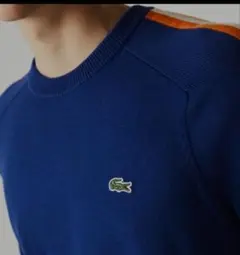 ラコステ（LACOSTE)スリーブボーダークルーネックニットセーター