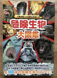 Item thumbnail for item c8aae32a-ebef-4039-a5bf-30a7333b88a0