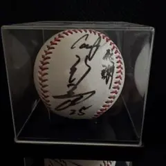 坂本勇人 菅野智之 筒香嘉智 Cespedes 直筆サインボール WBC公式球 坂本勇人 菅野智之 筒香嘉智 Cespedes 直筆サインボール WBC公式球