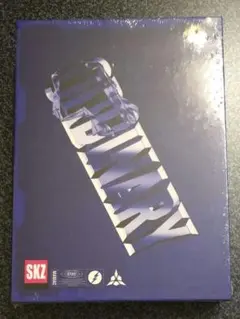 Stray Kids スキズ ODDINARY 未開封品