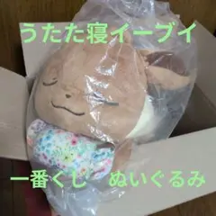 ポケモン　一番くじ　イーブイ　うたた寝　ぬいぐるみ　タグ付き