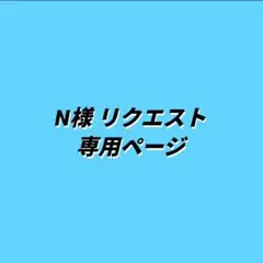 N様 リクエスト 3点 まとめ商品