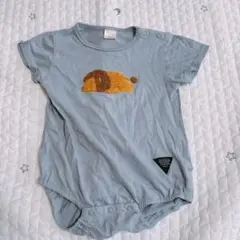 フタフタ　サガラ　ライオン