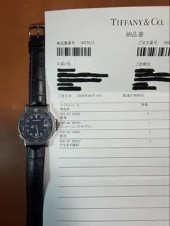 Tiffany & Co ティファニー ダイバーズ M0710 ダイバーのサムネイル