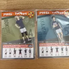 ハイキュー!! アリナミン オリジナルアクリルキーホルダー 2種