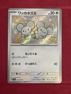 2026年最新】ワッカネズミS色違いの人気アイテム - メルカリ