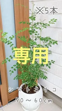 ＊ろっか＊様 リクエスト 2点 まとめ商品