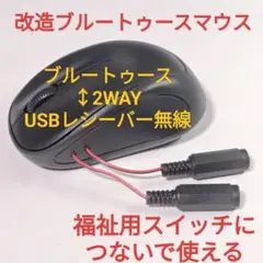 Item thumbnail for item b0681a70-fcdb-47d3-a5f9-07fa5e552955