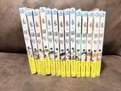 全巻新品シュリンク未開封 氷の城壁 全14巻 全巻セット 漫画 本 まとめ