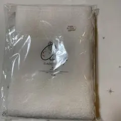 Item thumbnail for item c6d541b7-b2d8-420f-b7ad-e37756f01987