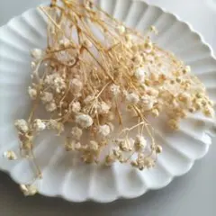 プリザーブドフラワー 花材　かすみ草