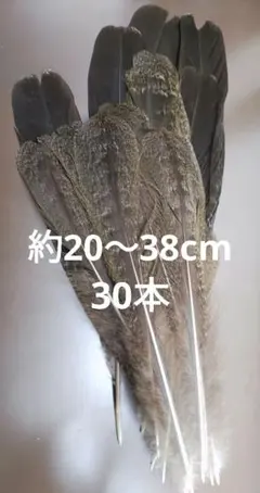 2025年最新】フライマテリアルの人気アイテム - メルカリ