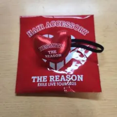 EXILE THE REASON NESMITH　ヘアゴム