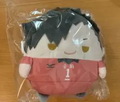 ハイキュー!! ぬいくじ くじメイト C賞 ふわコロりん Msize 黒尾鉄朗