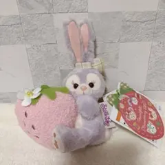 2025年最新】ステラルー フェルトの人気アイテム - メルカリ