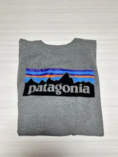 patagonia グレー Tシャツ Lサイズ