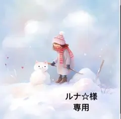 ルナ☆様専用3点