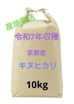 ✡令和7年✡　京都産　キヌヒカリ　10kgのサムネイル
