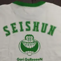 激レア ガリガリ君 GReeeeN コラボ トリムTシャツ GRe4N BOYZ