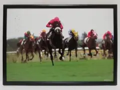 競馬 ナリタブライアン パネル GREEN CHANNEL 2000