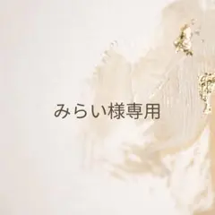 みらい様専用ページ