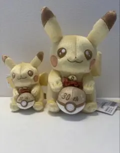 24時間以内発送ピカチュウ 30周年記念 ぬいぐるみセット