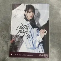 2026年最新】向井葉月 直筆の人気アイテム - メルカリ