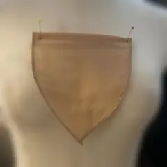 Item thumbnail for item 3b17ad5a-96bf-4827-bfea-d12d8b103145