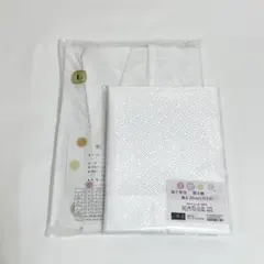 Item thumbnail for item dcdaec9d-2345-44e1-ac1b-6e039d0d2dec