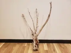 流木アート　インテリア　装飾