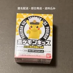 【新品未使用】ポケモンキッズ キャプテンピカチュウのサムネイル