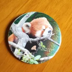 レッサーパンダ ホログラム 缶バッジ