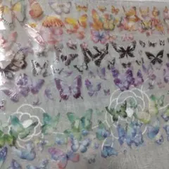 Item thumbnail for item 40a1f603-4f14-49bc-92ba-31bc95f7858e