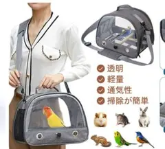 Item thumbnail for item ba7b7ecf-9bee-445d-993c-3bf7400879c7