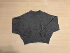 Item thumbnail for item 37e65ab3-94de-4195-b5ea-2f3e832cd10f