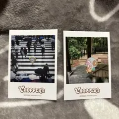 ONEPIECE BASE SHOP チョッパー 限定チェキ風カード 2枚セット