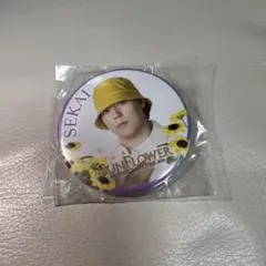FANTASTICS 世界 缶バッジ SUNFLOWER ガチャのサムネイル