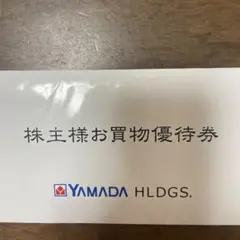 ★最新★ヤマダ電機 お買物優待券 5000円分