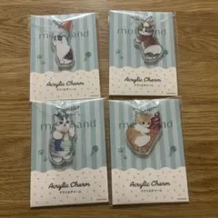 モフサンド　アクリルチャーム　4種セット