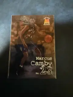 Marcus Camby SkyBox Metal 104