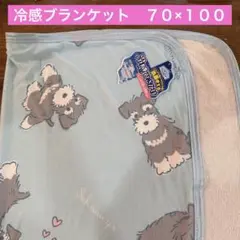 専用ページ【新品】洋梨柄 ブランケット 70×100 膝掛け フルーツ