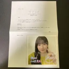 Item thumbnail for item 442f940b-d1a8-4bdc-8902-0e3fb54de683