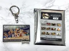 ハイキュー!! トレーディングアクリルキーホルダー メモリアル 烏野集合
