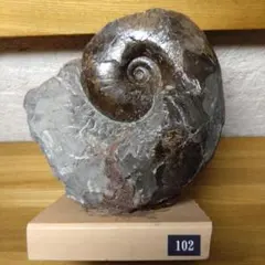 39様 リクエスト 2点 まとめ商品