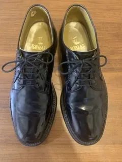 Item thumbnail for item 23e244e1-f764-4aef-932e-27fc8590a865