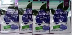 北海道ハスカップグミ ラブレ乳酸菌入 未開封 カネカ食品 4袋セット