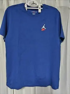 NIKE JORDAN レア エア メンズ Tシャツ（IB7526-458)