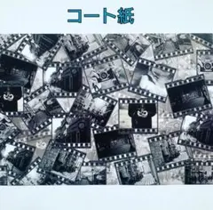 【残り2セット】デザインペーパー Photographコート紙 10枚