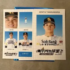 ソフトバンクホークス　谷川原健太　証明写真風スマロイド
